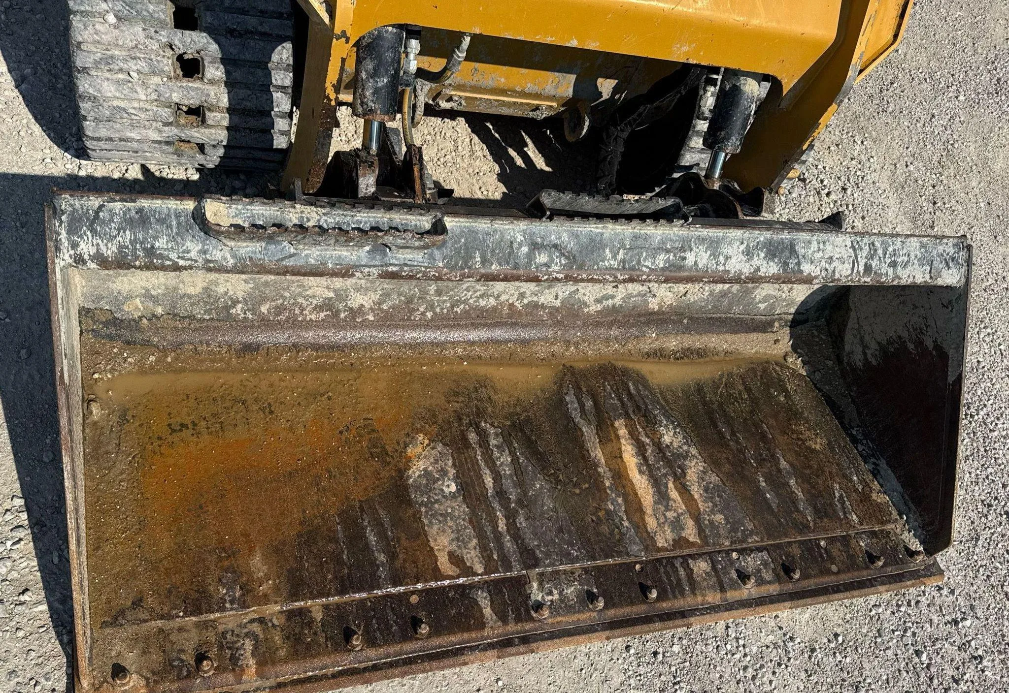 2024 Caterpillar 259D3